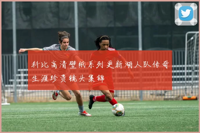 科比高清壁纸系列更新湖人队传奇生涯珍贵镜头集锦