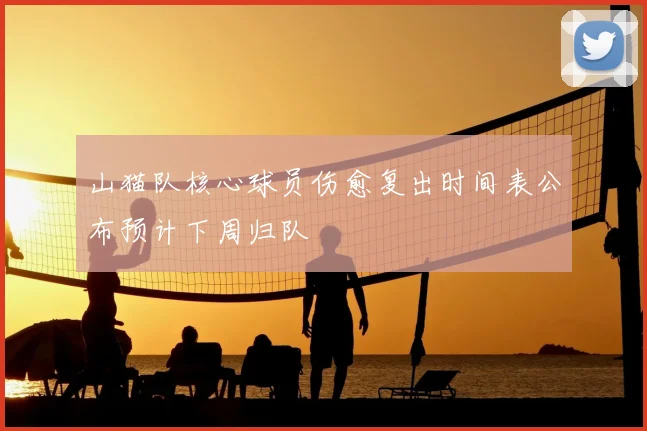 山猫队核心球员伤愈复出时间表公布预计下周归队