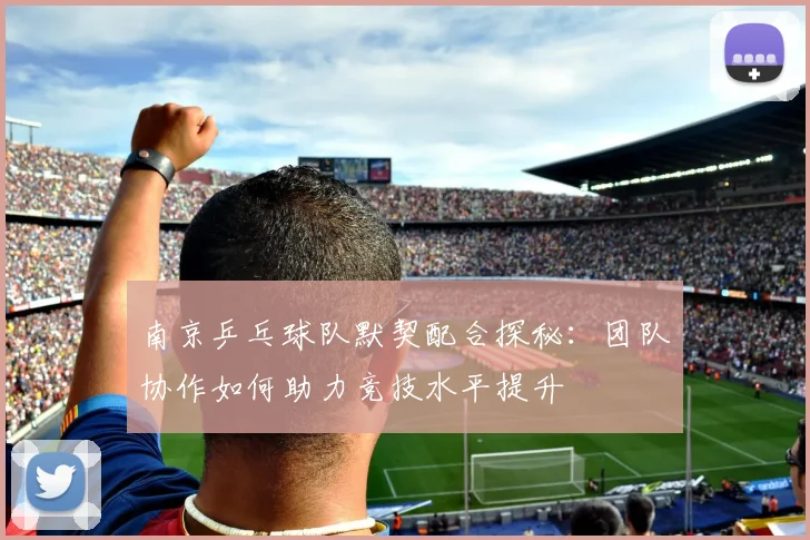 南京乒乓球队默契配合探秘:团队协作如何助力竞技水平提升