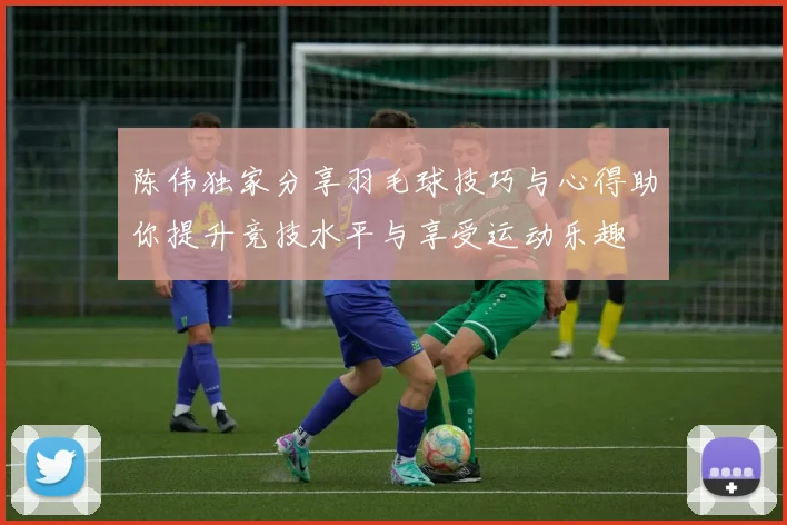 陈伟独家分享羽毛球技巧与心得助你提升竞技水平与享受运动乐趣
