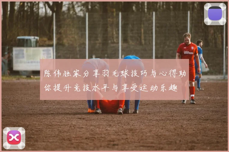 陈伟独家分享羽毛球技巧与心得助你提升竞技水平与享受运动乐趣