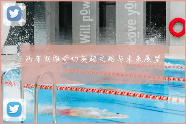 西布朗维奇的英超之路与未来展望