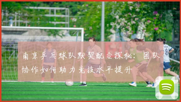 南京乒乓球队默契配合探秘:团队协作如何助力竞技水平提升