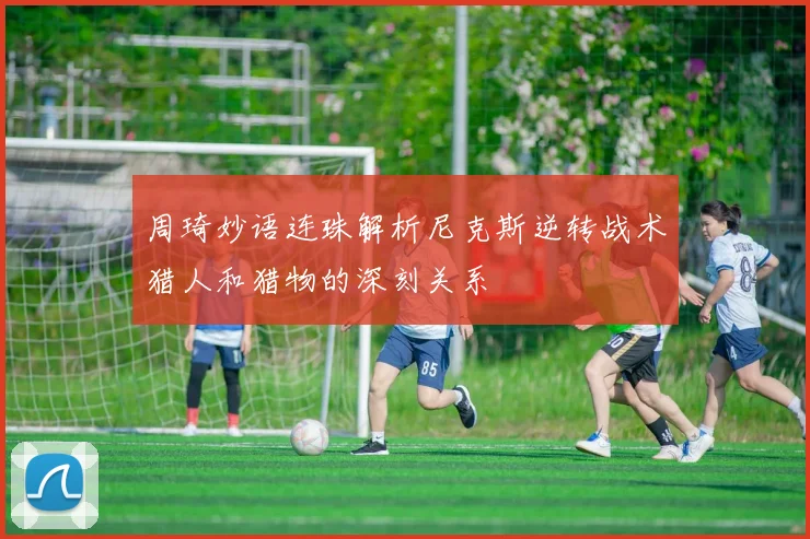周琦妙语连珠解析尼克斯逆转战术猎人和猎物的深刻关系