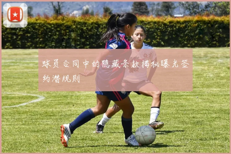 球员合同中的隐藏条款揭秘曝光签约潜规则