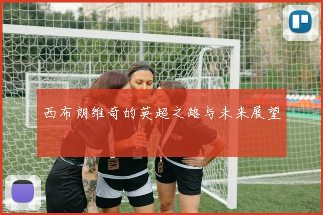 西布朗维奇的英超之路与未来展望
