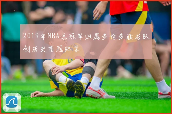 2019年NBA总冠军归属多伦多猛龙队创历史首冠纪录