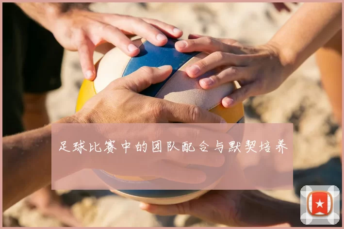 足球比赛中的团队配合与默契培养