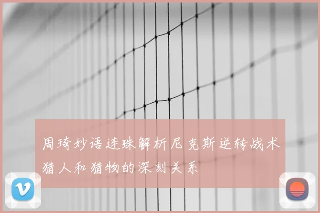 周琦妙语连珠解析尼克斯逆转战术猎人和猎物的深刻关系