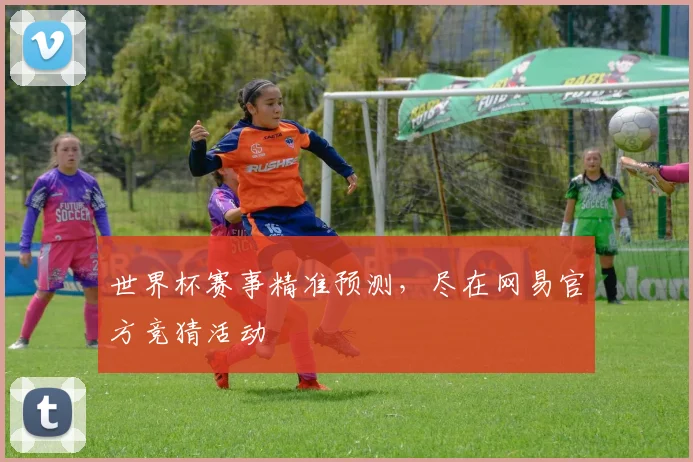 世界杯赛事精准预测,尽在网易官方竞猜活动