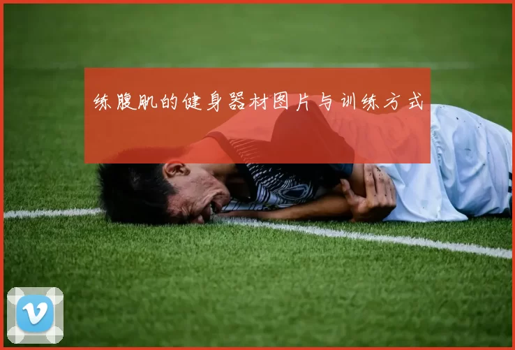 练腹肌的健身器材图片与训练方式