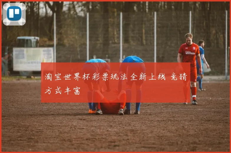 淘宝世界杯彩票玩法全新上线 竞猜方式丰富