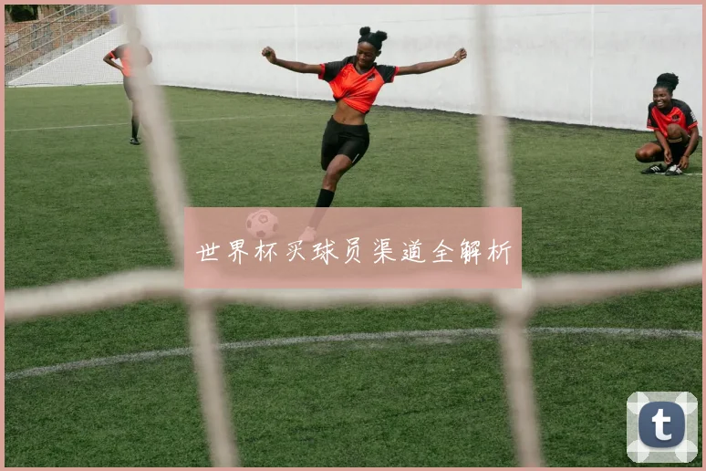 世界杯买球员渠道全解析