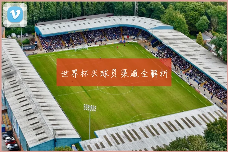 世界杯买球员渠道全解析