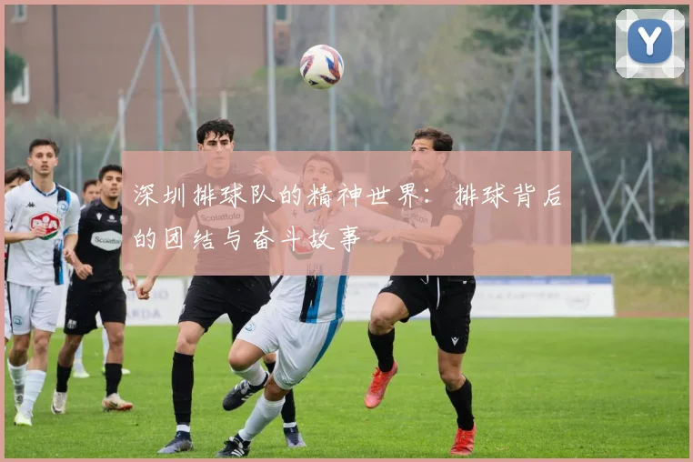 深圳排球队的精神世界：排球背后的团结与奋斗故事