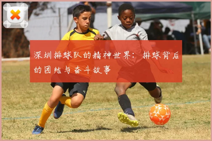 深圳排球队的精神世界：排球背后的团结与奋斗故事